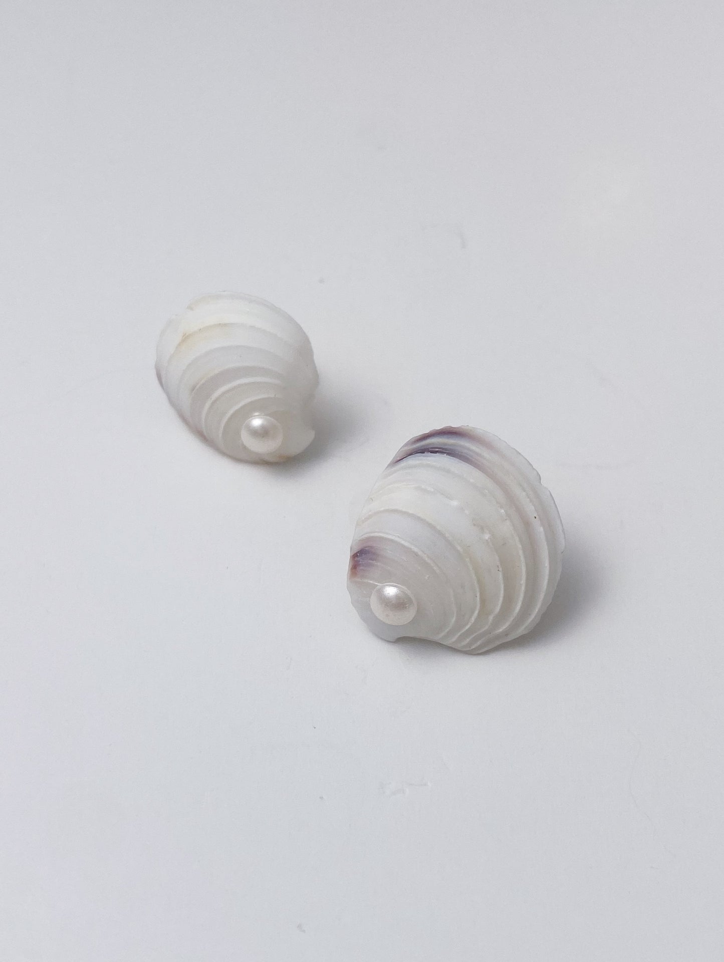 Classic Sea Shell Stud Earrings