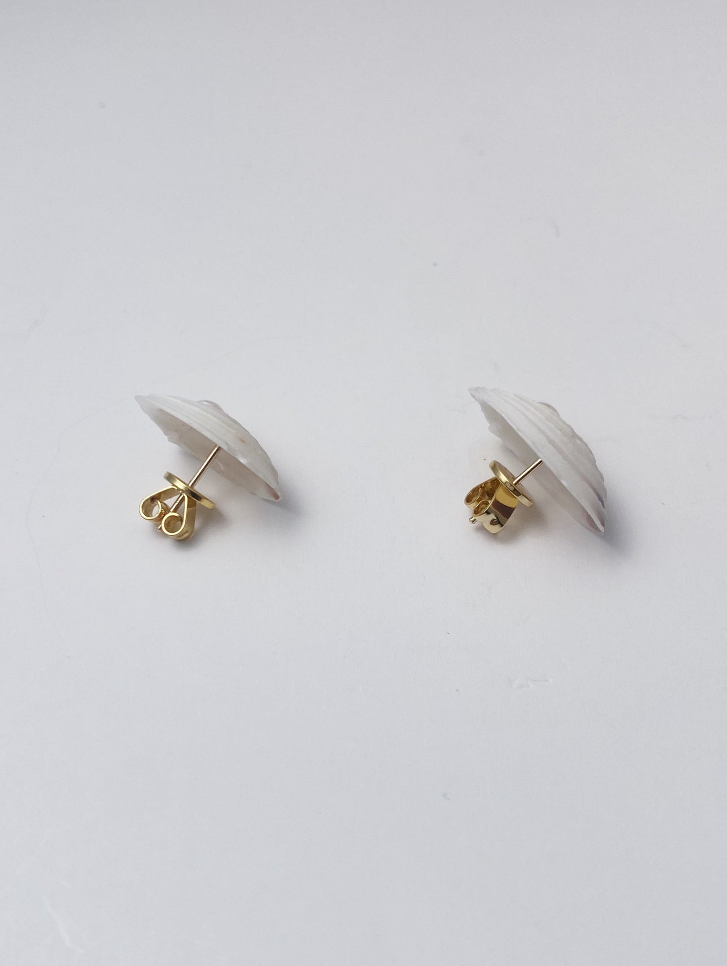 Classic Sea Shell Stud Earrings