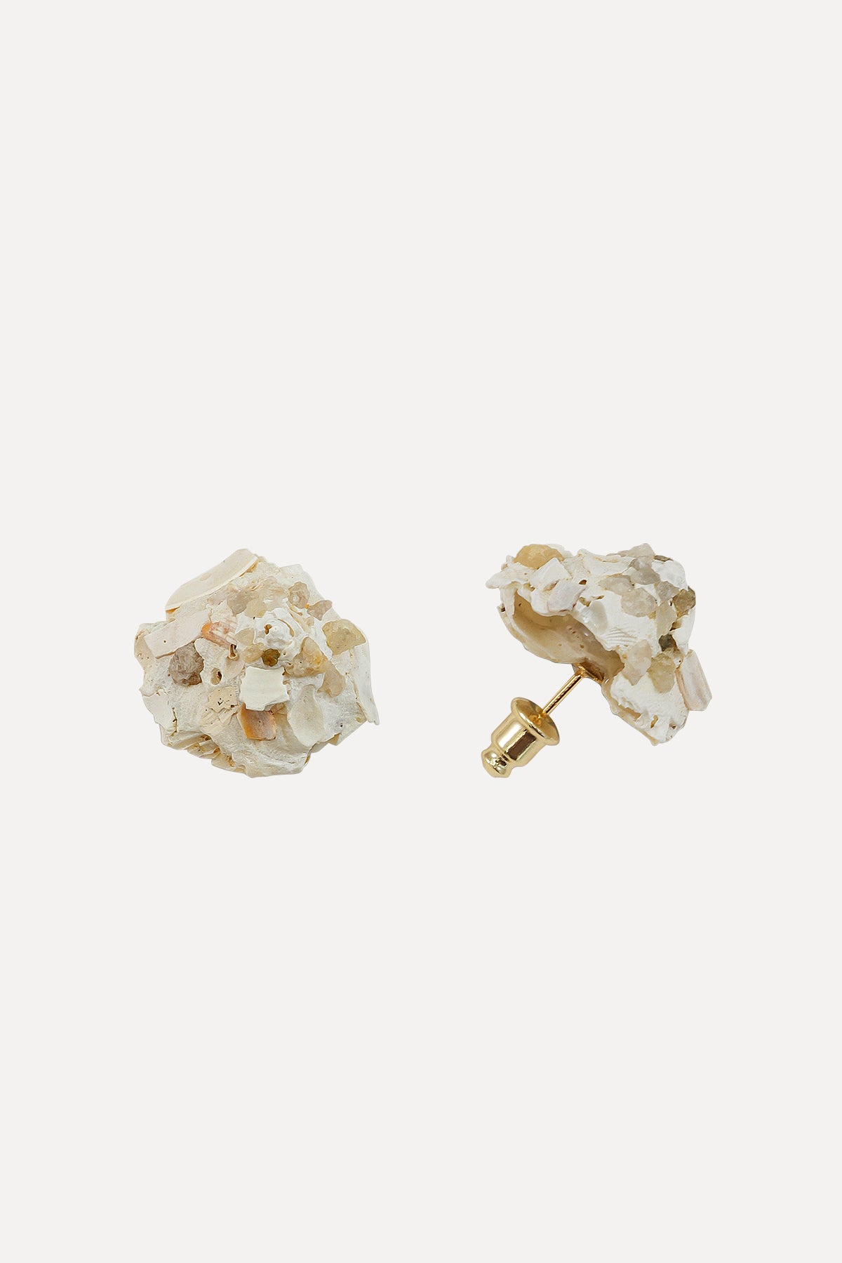 Carrier Shell Stud Earrings