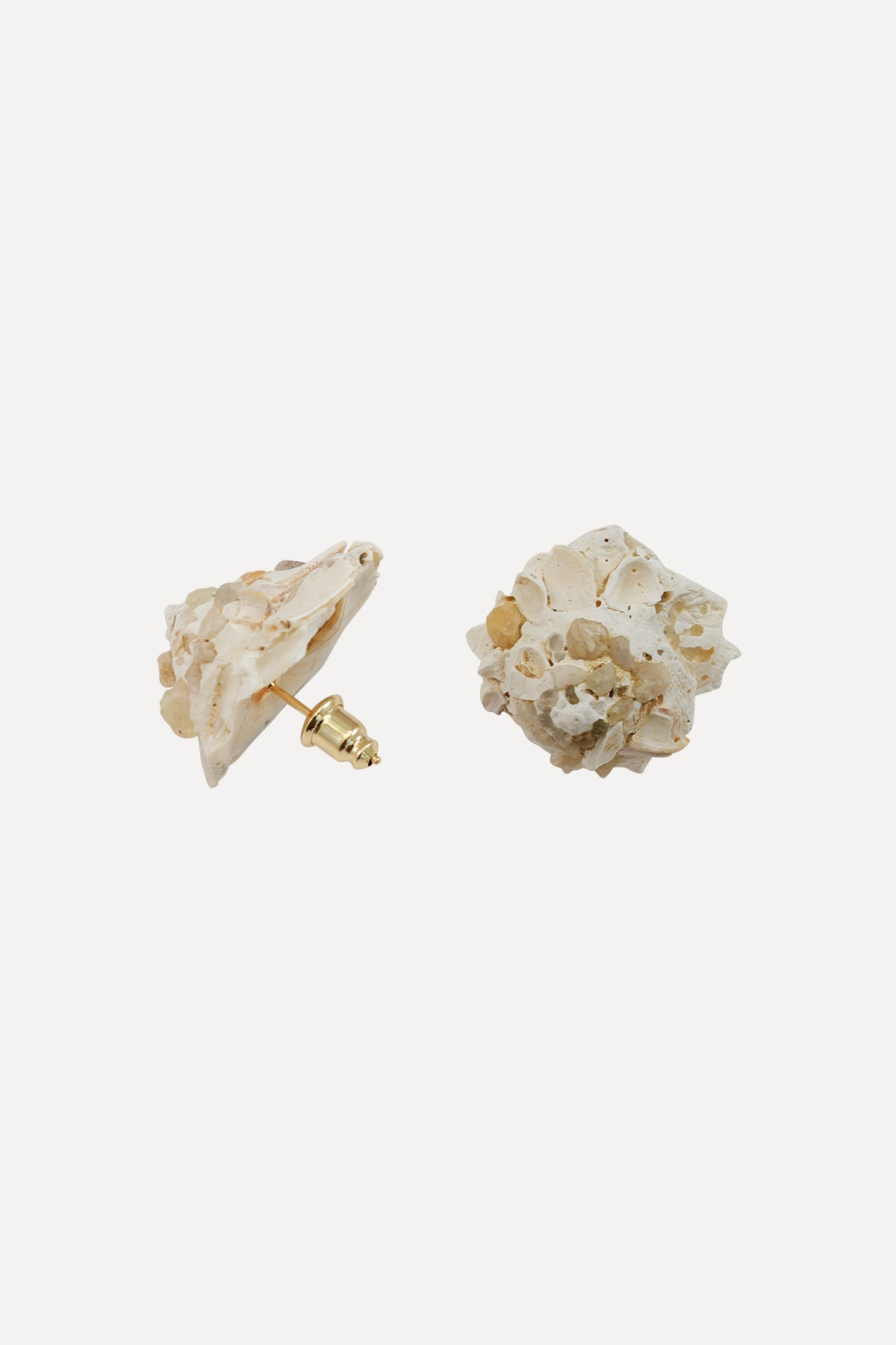Carrier Shell Stud Earrings