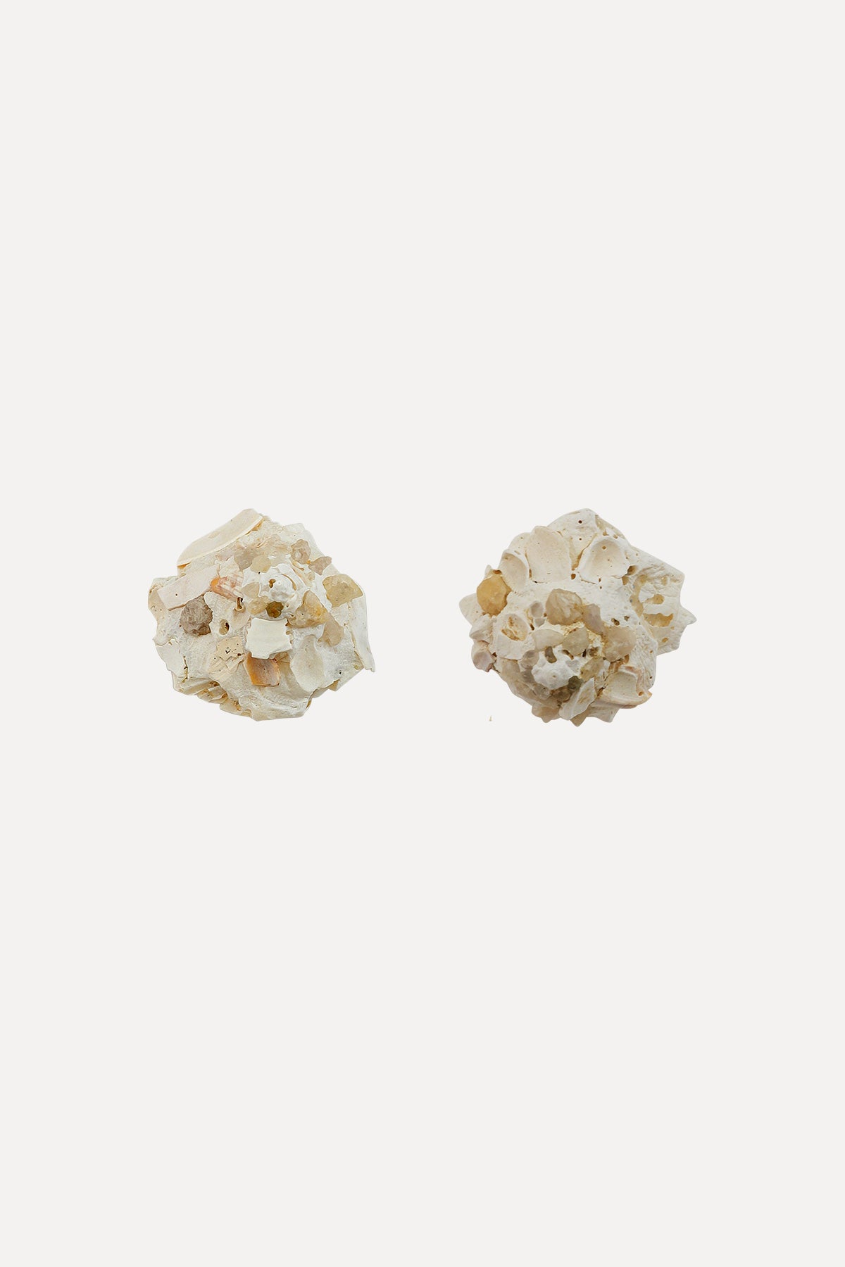 Carrier Shell Stud Earrings