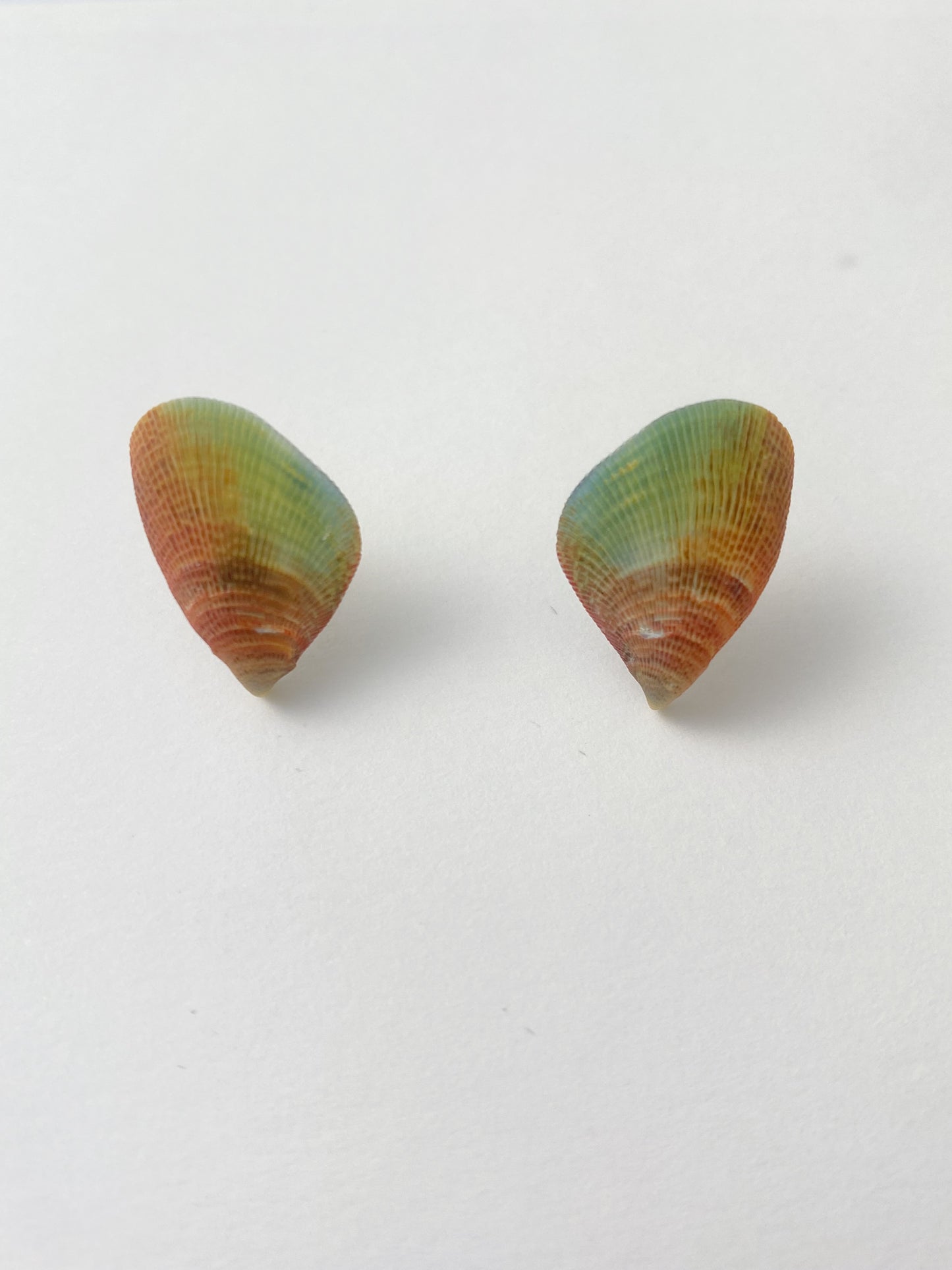 Rainbow Mussel Stud Earrings