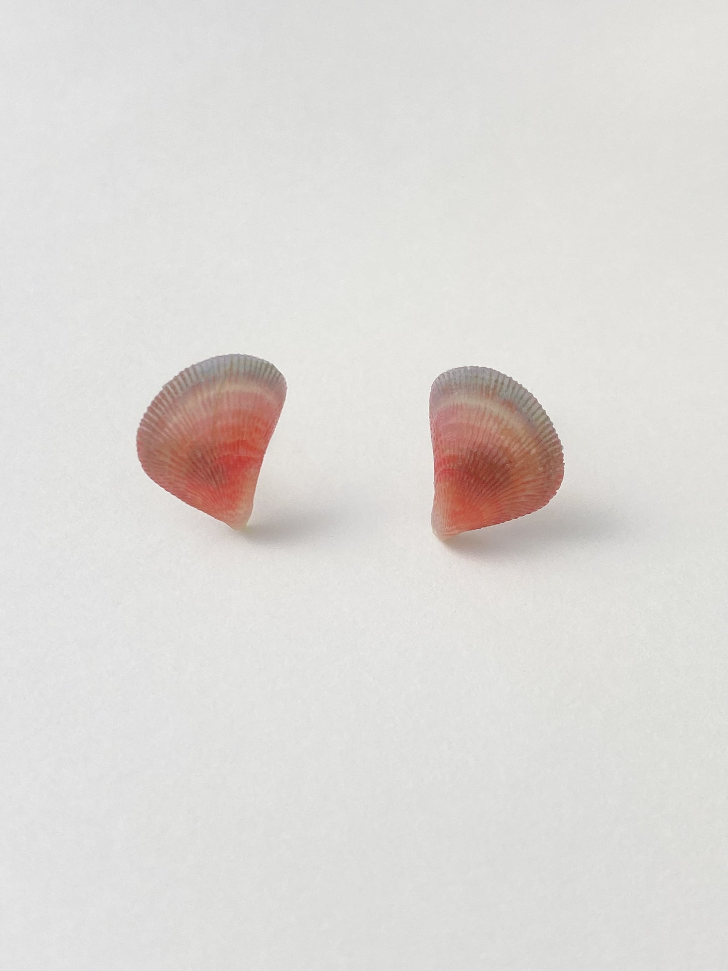 Rainbow Mussel Stud Earrings