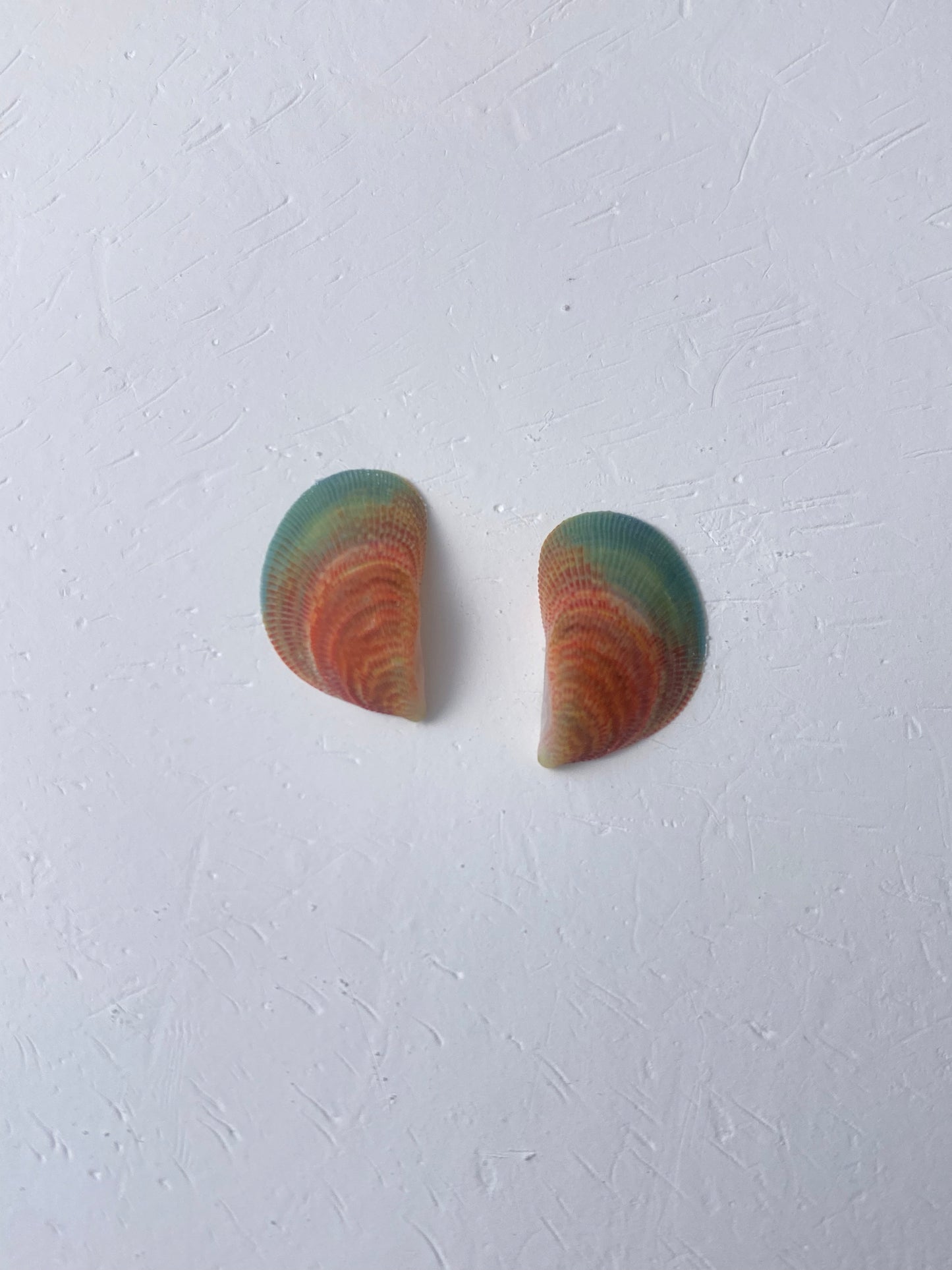 Rainbow Mussel Stud Earrings