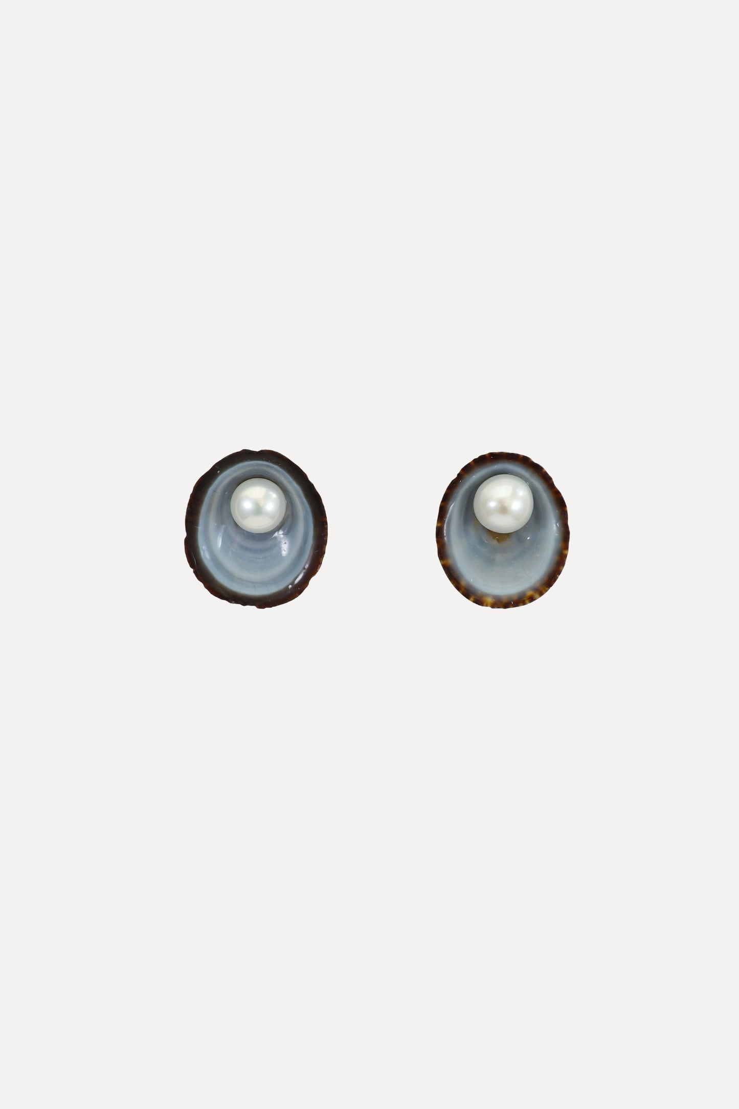 Limpet Pearl Stud Earrings