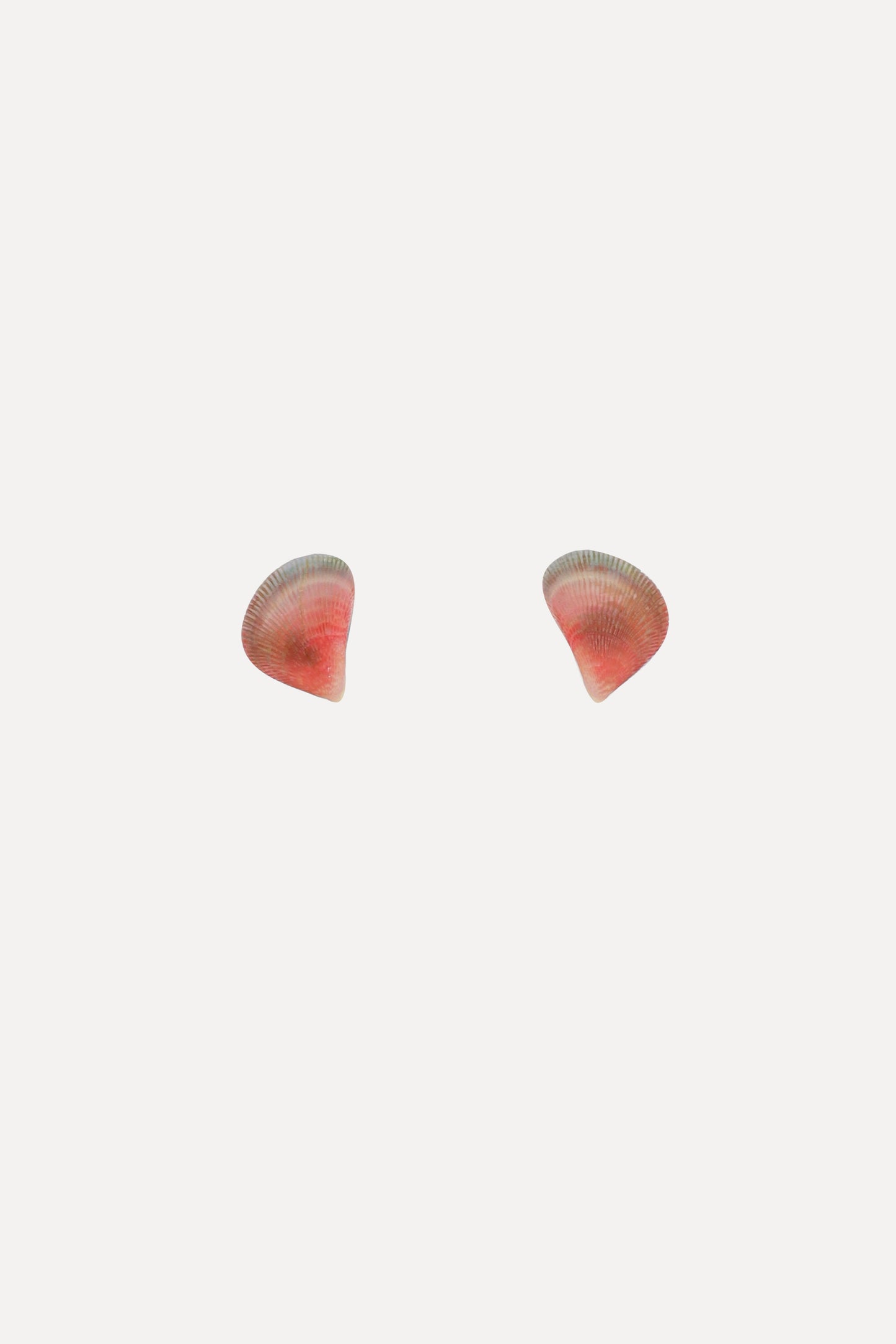 Rainbow Mussel Stud Earrings