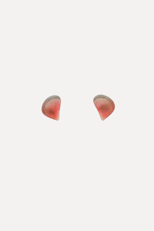 Rainbow Mussel Stud Earrings