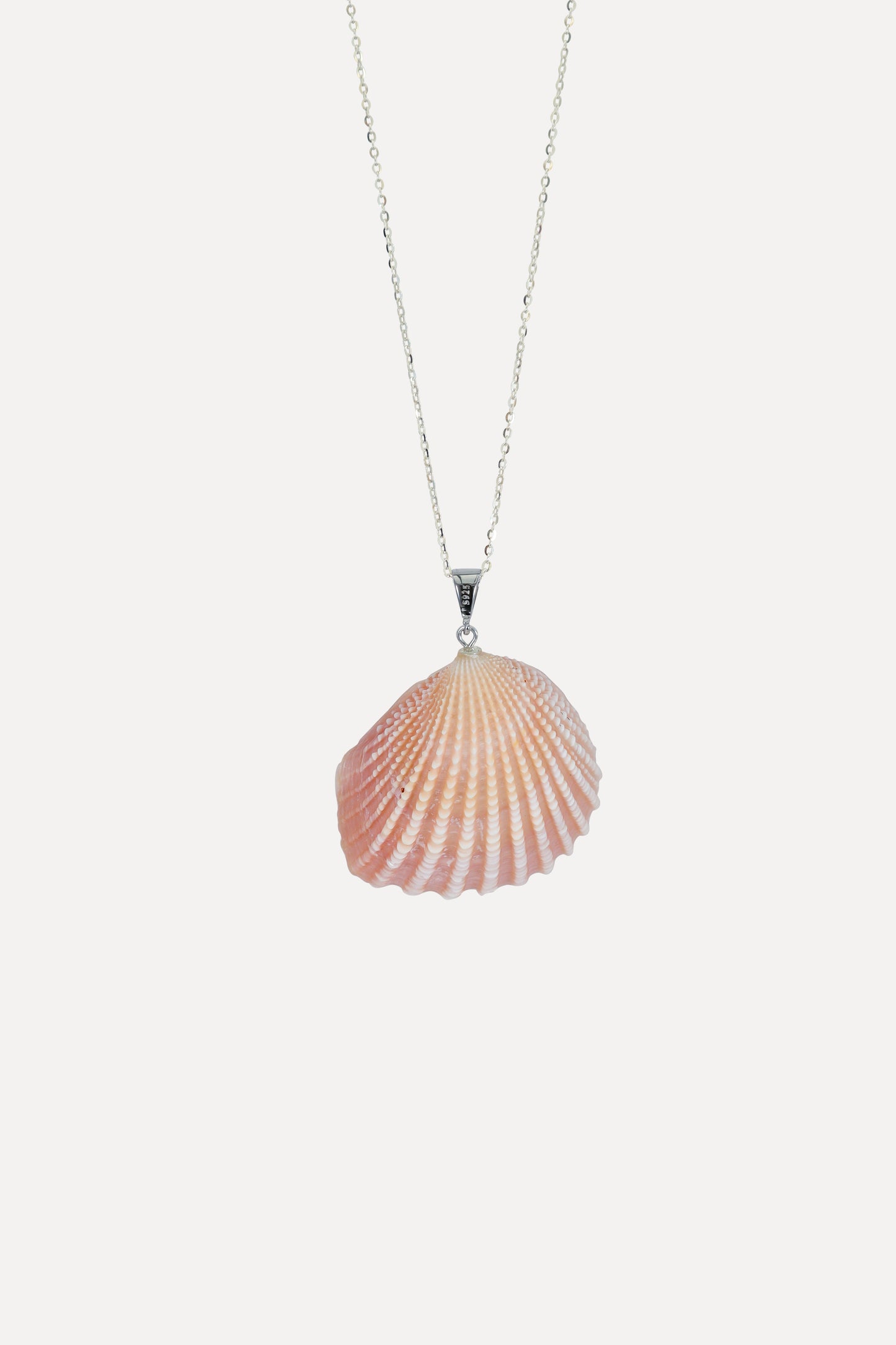 Neotrigonia bednalli (Verco, 1907), with Edison Pearl Pendant Necklace