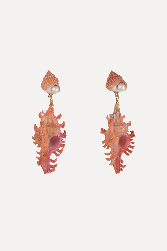 Pink Murex Shell Earrings