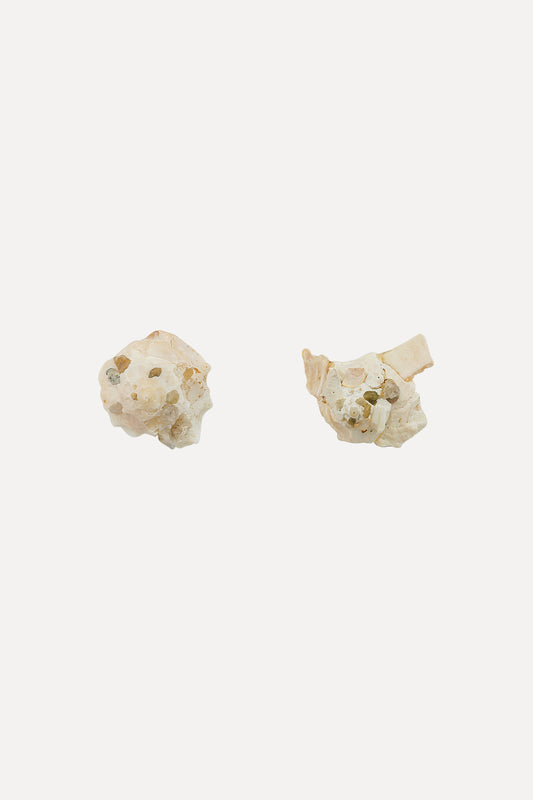 Carrier Shell Stud Earrings
