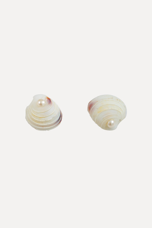 Classic Sea Shell Stud Earrings